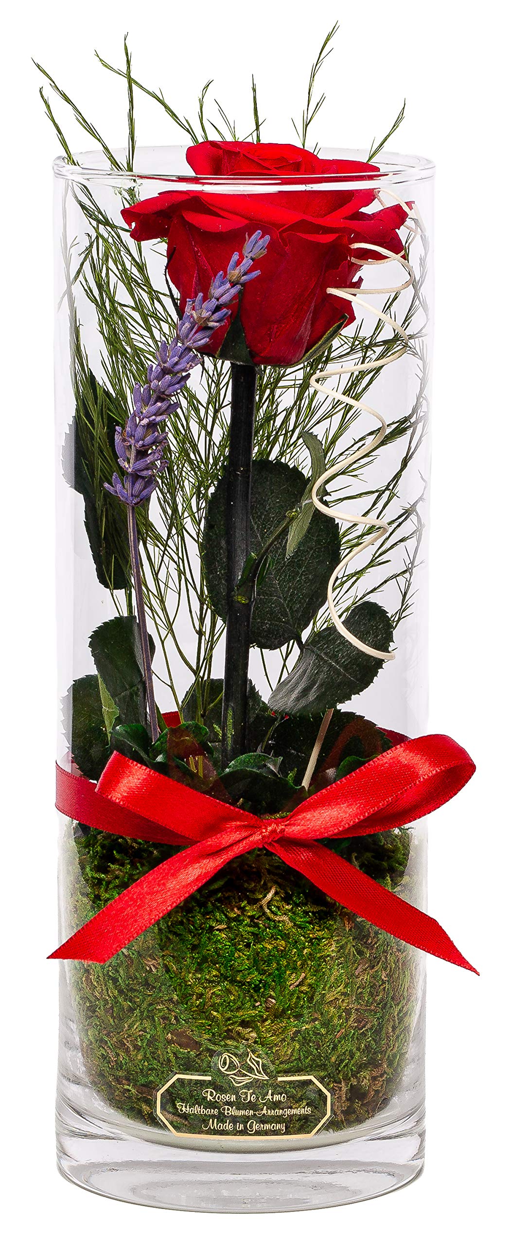 Rosen-Te-Amo, Regalo Dia de la Madre | Rosa eterna preservada roja perfumada en rafinada Maceta de Vidrio || Flores Naturales Domicilio | Decoracion hogar | Regalos Originales Mujer