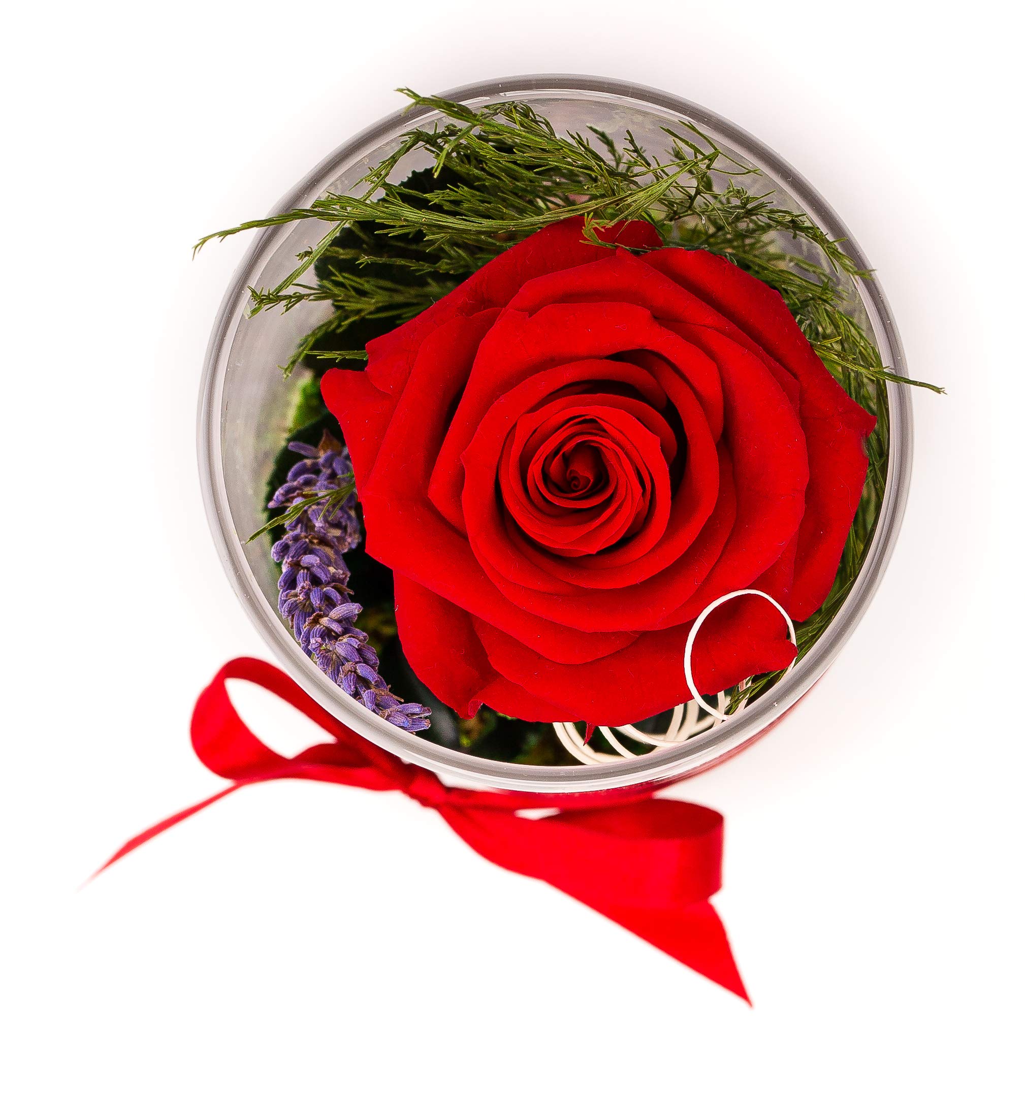 Rosen-Te-Amo, Regalo Dia de la Madre | Rosa eterna preservada roja perfumada en rafinada Maceta de Vidrio || Flores Naturales Domicilio | Decoracion hogar | Regalos Originales Mujer
