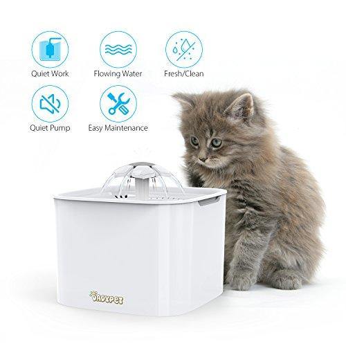 DADYPET Fuente para Gatos, Bebedero Automático, Bebedero Gatos Perros con 2 Filtros de Carbón 2L - no se que regalar