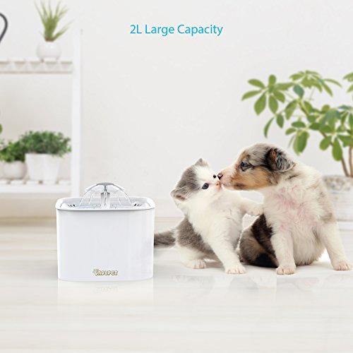 DADYPET Fuente para Gatos, Bebedero Automático, Bebedero Gatos Perros con 2 Filtros de Carbón 2L - no se que regalar