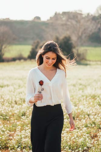 Rosa Eterna de Hierro Forjado para el dia de la madre -Regalos significativos -  Forjada a Mano (Roja/Negro)