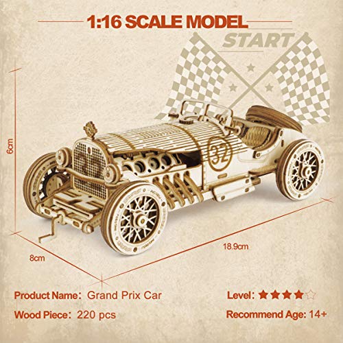 ROKR Car Madera Maquetas para Construir - Maquetas para Montar - Set de Construcción Puzzle 3D para niños y Adultos (Grand Prix Car) - no se que regalar