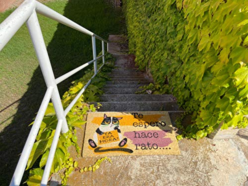 LucaHome - Felpudo de Coco Natural 70x40 con Base Antideslizante, Felpudo de Coco Divertido Te espero Hace rato,Felpudo Absorbente Entrada casa, Ideal para Puerta Exterior o Pasillo