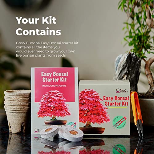 Cultiva tu propio bonsái: cultiva fácilmente 4 tipos de árboles de bonsái con nuestro completo kit de semillas para principiantes, ideal para principiantes, set de regalo, idea de regalo única